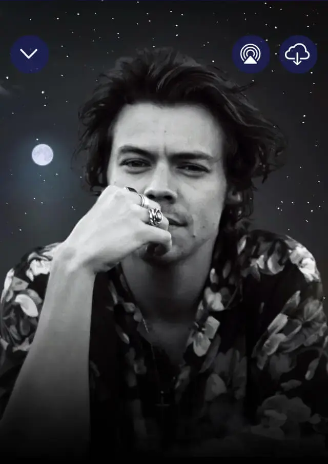 Harry Styles Poster